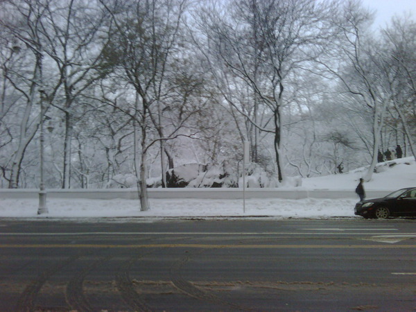 Outside my hotel....central park. So beautiful