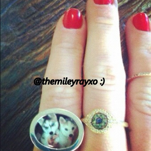 Check out my new ring! It has my babies Floyd and Willow on it. =] Crazy dog lady?