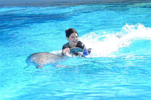 2012 5 15 2012 Dolphin Trainer For A Day 38