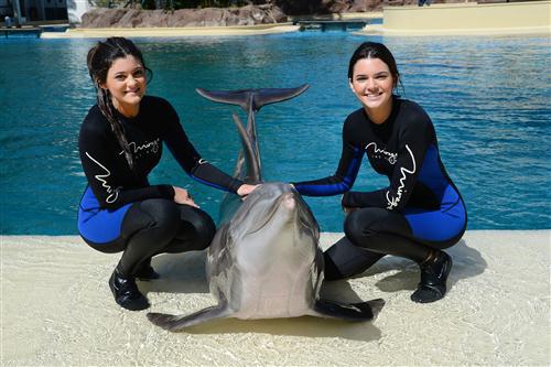 2012 5 15 2012 Dolphin Trainer For A Day 100