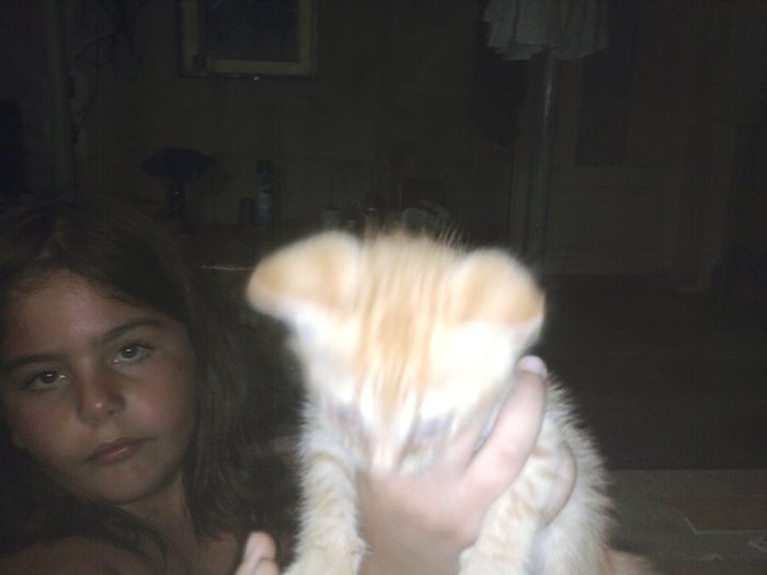 me and a cat (pic from 2010)