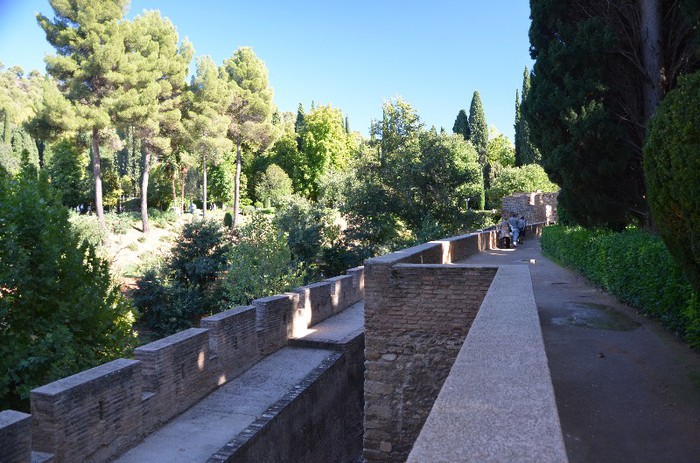 DSC_3525 - Alhambra -Granada