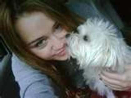 me and my sweety puppy   he is happy if u plv in me; he is happy if u blv in me!
