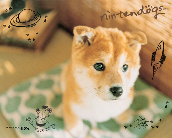 fyui - nintendo ds dogs