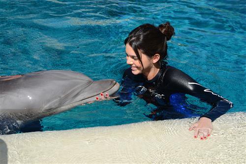 2012 5 15 2012 Dolphin Trainer For A Day 43