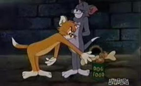 Tom si Jerry