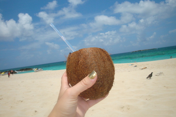 All we did all morning was drink juice outa coconuts on the beach! I love the bahamas! off to rehear - Bahamas__YaaY