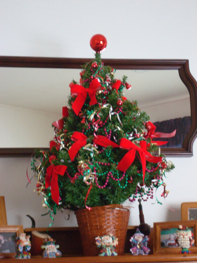 Christmas at Pat\'s house 2008 (2)