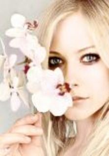 avril-lavigne_19 - Avril Lavigne