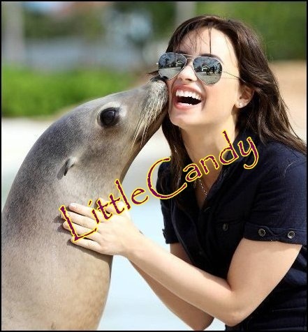 Demi with a dolphin 