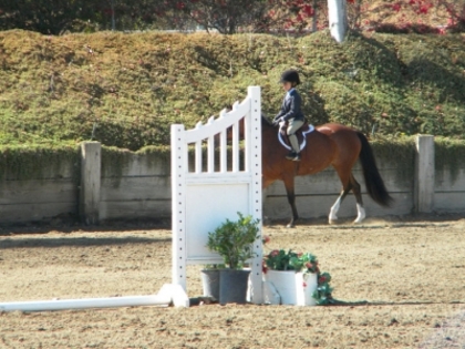 Horse Show36