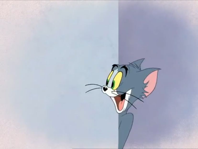 Tom si Jerry