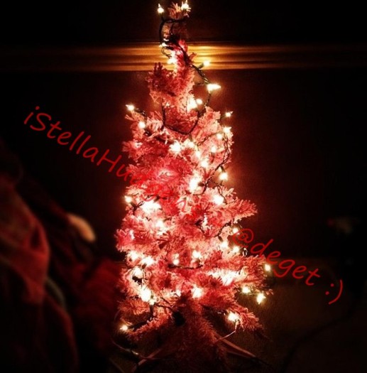 X-mass tree in my room