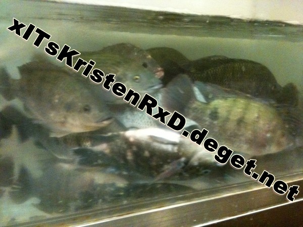 he upside fish is alive =O  yaay - Another proofs