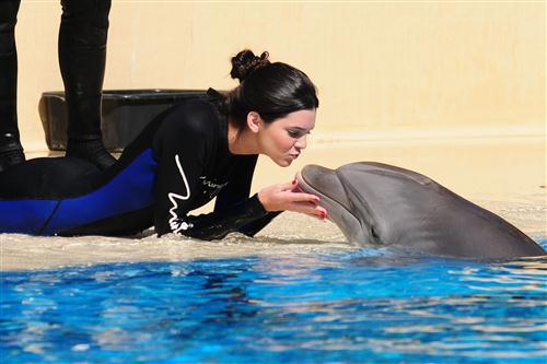 2012 5 15 2012 Dolphin Trainer For A Day 4