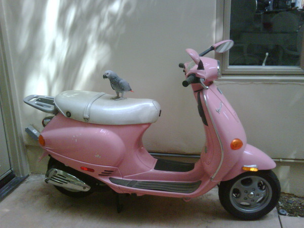 Hank's first time on a pink Vespa