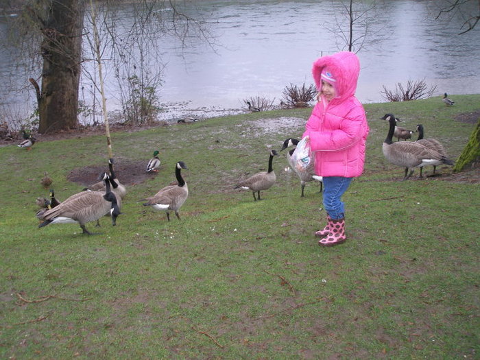 Cody feeding the geese at the park..