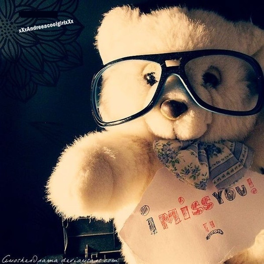teddy5 - o_0 Teddy 0_o