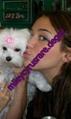 sophie and meX - mileys dog