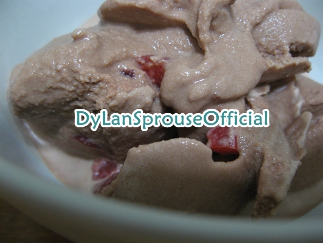 Chocolate cherry frozen yogurt.