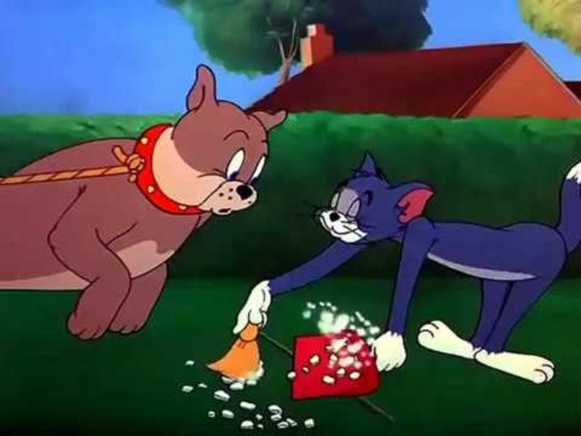 Tom si Jerry