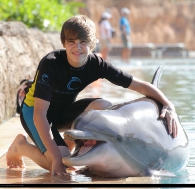 16178992_ZRPUKWYRM - Justin Bieber in water with dolphin