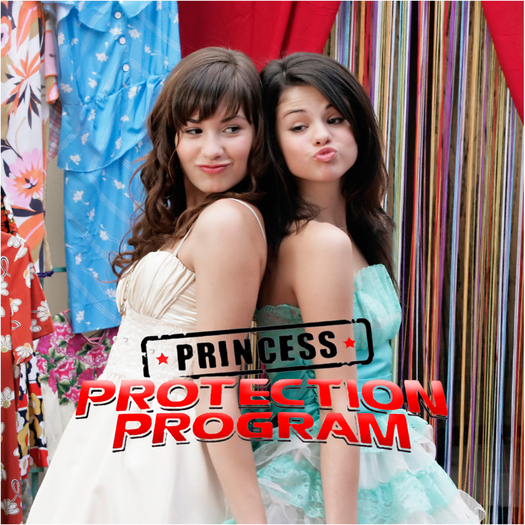 Princess protection program
