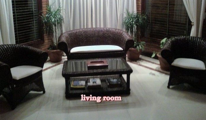 living - my living room