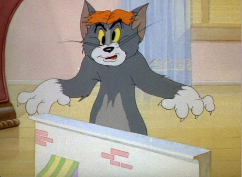 Tom si Jerry