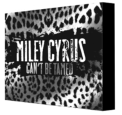 Can't Be Tamed - Slipcase