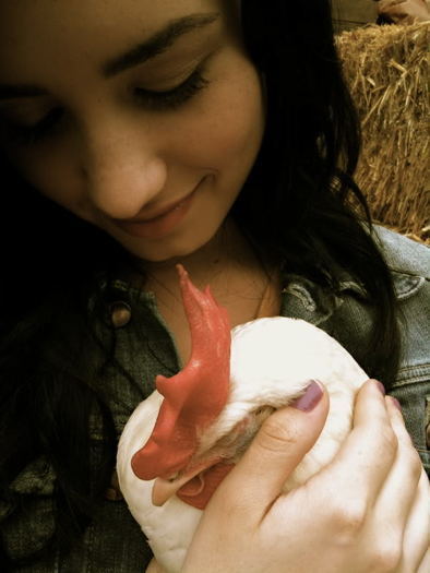 Maybe sounds weird but I\'m in love with this chicken !! - x - Oldies - x