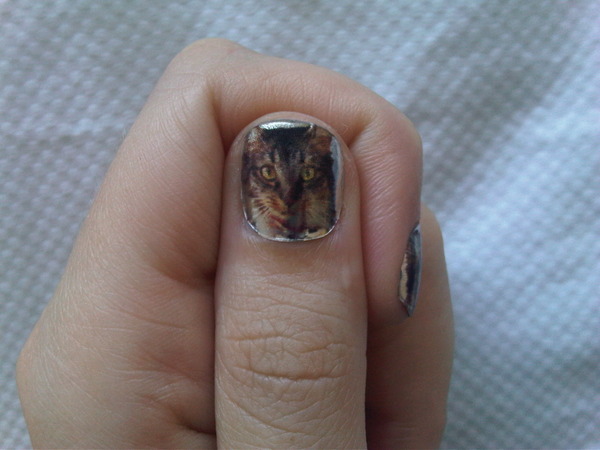 hopefully my kitty purry nails bring me luck tonight - me