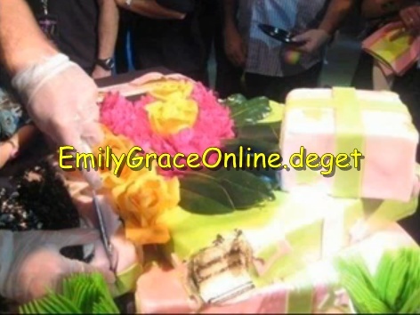 miley's 15h b-day9 - miley_s 15th b-day- party