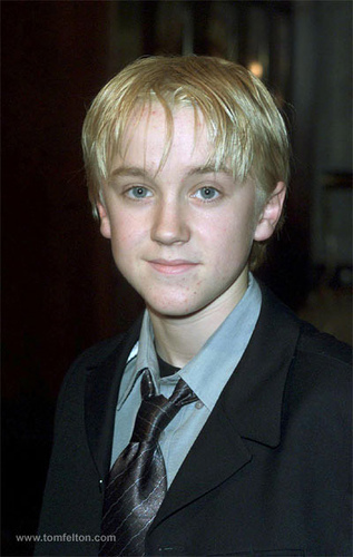 1773342325_9c1403d5d4_large - x - Tom Felton - x