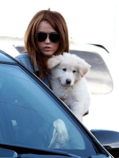 - miley and mate