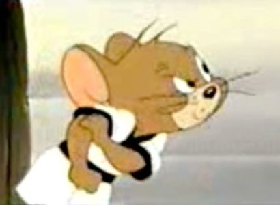 Tom si Jerry