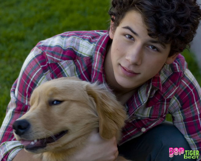 OWWW-NICK-AND-HIS-DOG-ELVIS-nick-jonas-3044691-1280-1024