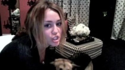 miley cyrus everything (5)