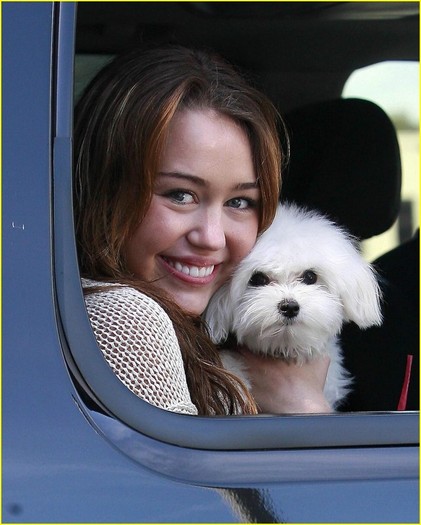 hf - All pics with Miley