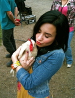 He - me and a chicken