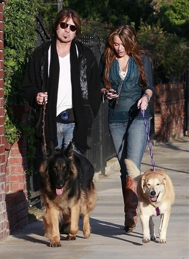 Miley Cyrus Dad Walking Their Dogs BzcMGABCzZOl - me and friends