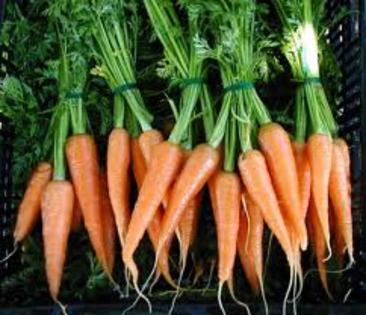 images (7) - carrot