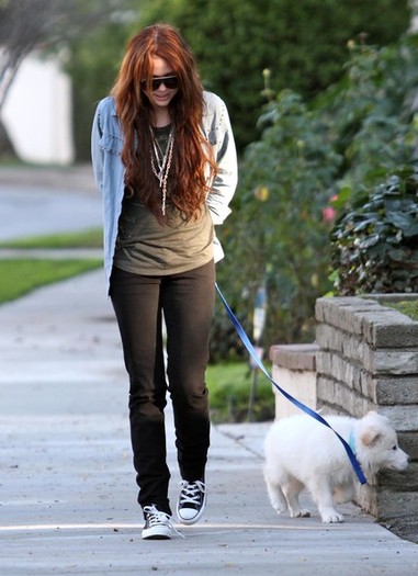 Billy+Ray+Cyrus+Miley+Cyrus+Out+Walking+Their+4P3Nzs050U_l - Album for Miley real