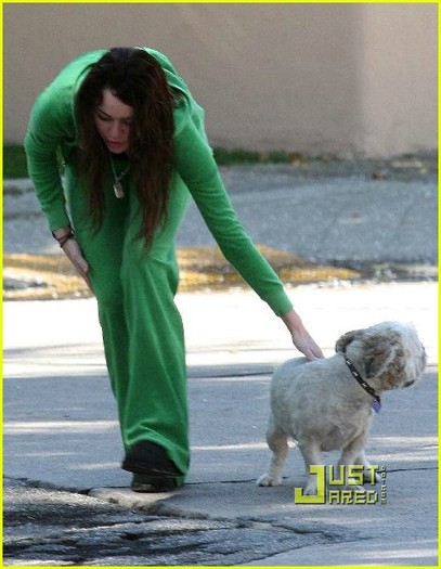 miley-cyrus-stray-dog-06