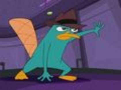 Perry-as-Agent-P-phineas-and-ferb-3677082-120-90