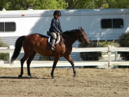 Horse Show27