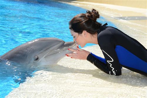 2012 5 15 2012 Dolphin Trainer For A Day 29