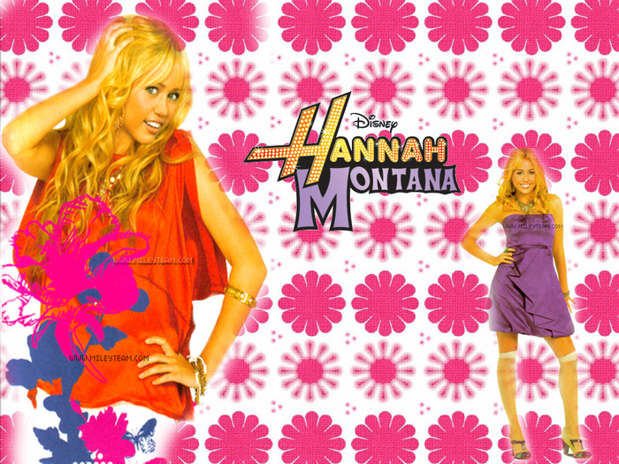 new-HANNAH-montana-hannah-montana-10196952-1024-768 - Hannah Montana 4