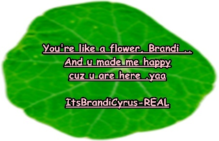 For Brandi 004