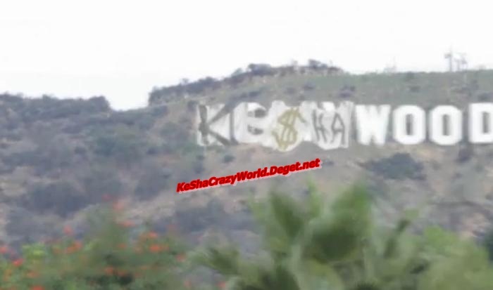 Keshawood 1 - KeshaWood